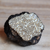 Extrait naturel de Truffe pour la Gastronomie - 10 Gr