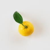 Extrait naturel de Yuzu pour la Gastronomie - 10 Gr