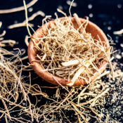 Extrait naturel de Vetiver pour la Gastronomie - 30 Gr