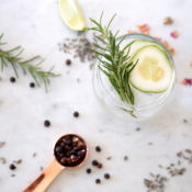 Composition naturelle de Gin pour la Gastronomie - 30 gr